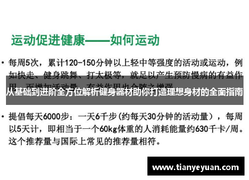 从基础到进阶全方位解析健身器材助你打造理想身材的全面指南
