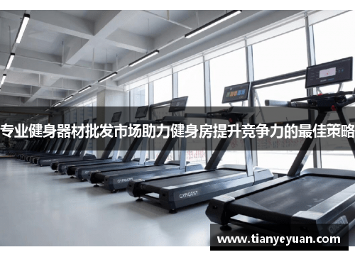 专业健身器材批发市场助力健身房提升竞争力的最佳策略