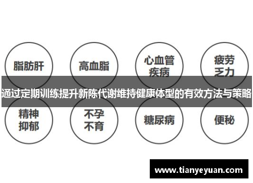 通过定期训练提升新陈代谢维持健康体型的有效方法与策略
